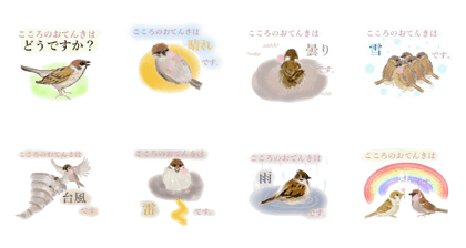 Sparrow Weather Report Girl