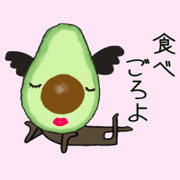 Koala such as the avocado 2