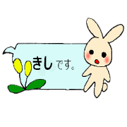 kisi's sticker