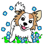 REO The Papillon