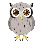 White-faced Scops Owl
