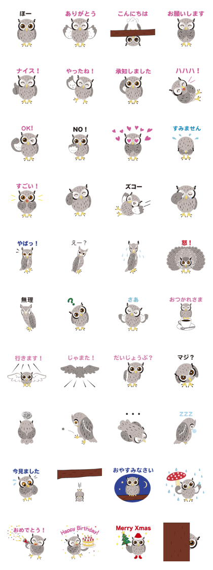 White-faced Scops Owl