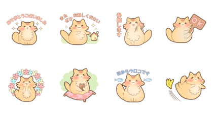 Persian cat Small pack