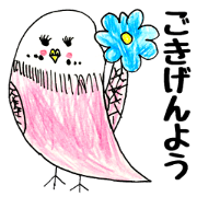 parakeet speak2