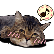 Cats greeting words