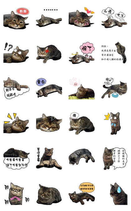 Cats greeting words