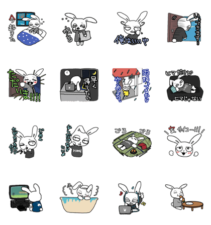 Rabbits like home
