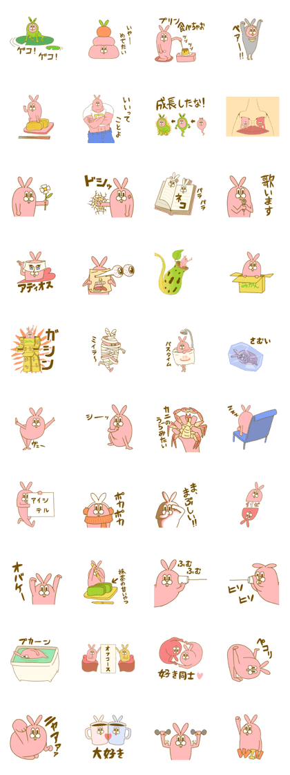 Medium mammal pink9