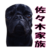 Sasaki Family 01