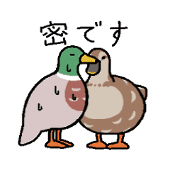 続 無難にかわいいトリさんのスタンプ鴨編 Line スタンプ Line Store 続 無難にかわいいトリさんのスタンプ鴨編 Line スタンプ Line Store