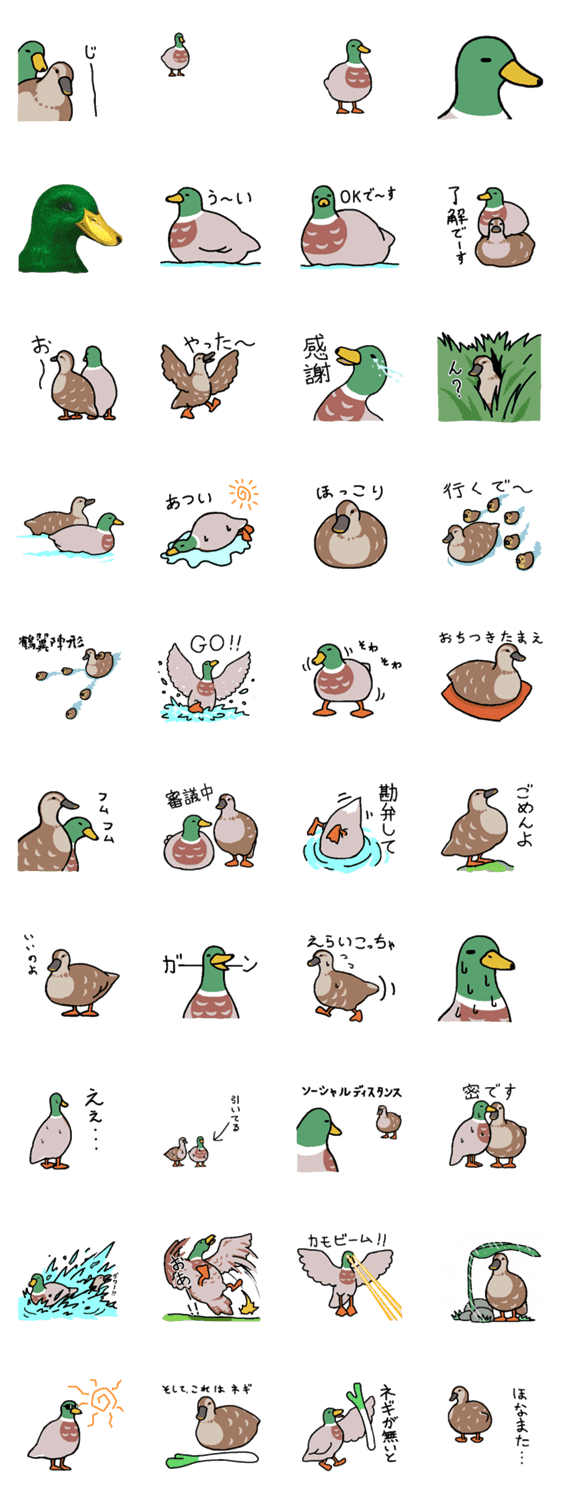 続 無難にかわいいトリさんのスタンプ鴨編 Lineクリエイターズスタンプ Stamplist 続 無難にかわいいトリさんのスタンプ鴨編 Lineクリエイターズスタンプ Stamplist