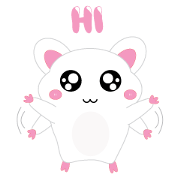 Hamsy the white hamster 1