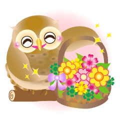 Wonderful Owls