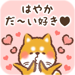 Love Sticker to Hayaka from Shiba