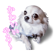 Our Dogs Sticker 2