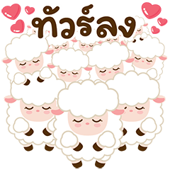 Sheep Sheep Cute little sheep
