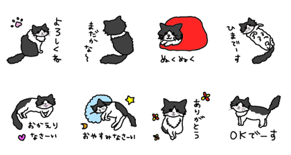 Cat bell