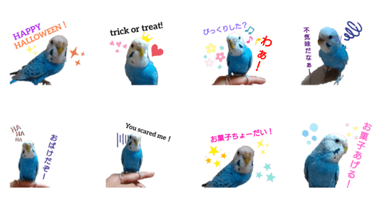 ことりさんの可愛い1日 ハロウィン編 Lineクリエイターズスタンプ Stamplist