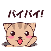 Iring the Cute Cat