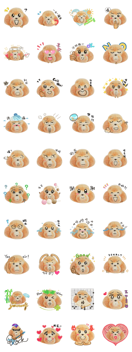 Sunshine Dog -2 Very Useful