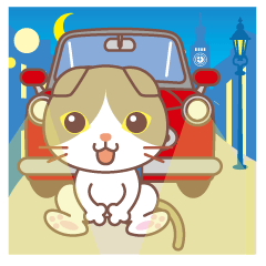 แมวและรถยนต์