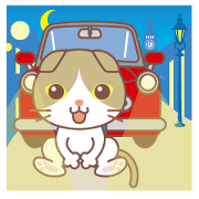 Cat and convertible