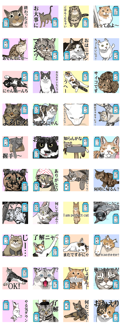 Nyanko school(PART8)