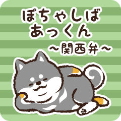 Pocha Shiba Akkun (Black)