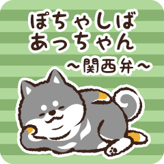 Pocha Shiba Atchan (Black)