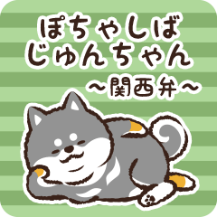 Pocha Shiba Junchan (Black)