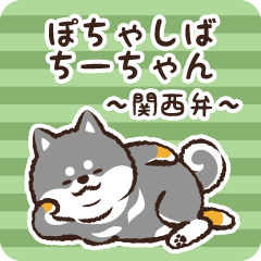 Pocha Shiba Chichan (Black)