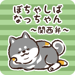 Pocha Shiba Natchan (Black)