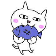 The daily life of the Kitty-cat