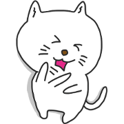 Do you like the cat?