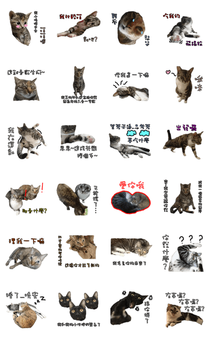 Cat slaves necessary