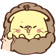 hedgehog dog YuanYuan