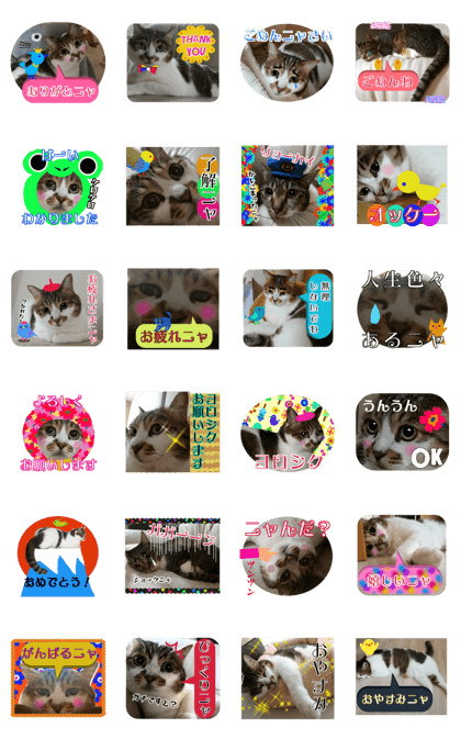 Sticker Of neko