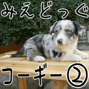 MIEDOG Welsh Corgi Cardigan sticker 2