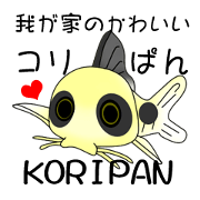 KORIPAN