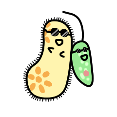 The B`s (Paramecium and Euglena)