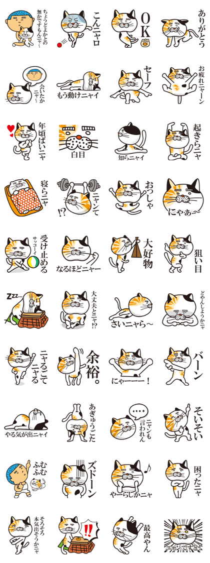 Matsuo' pet ~cat vol01~
