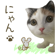mugi325channel