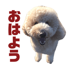 Hana_20201031150040