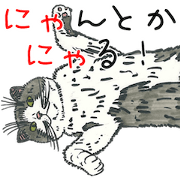 my beloved cat