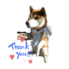 nozomi_20201031172323