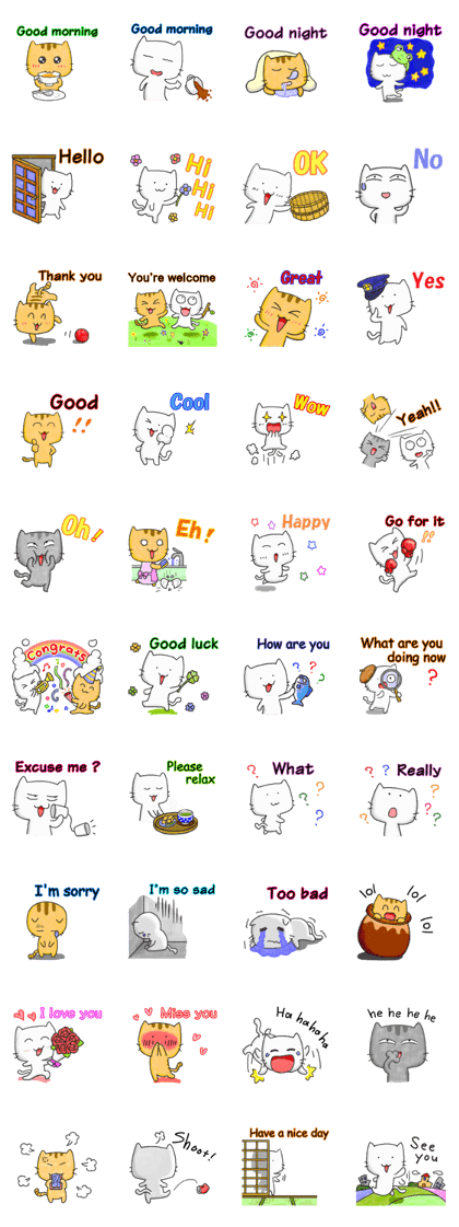 cats standard