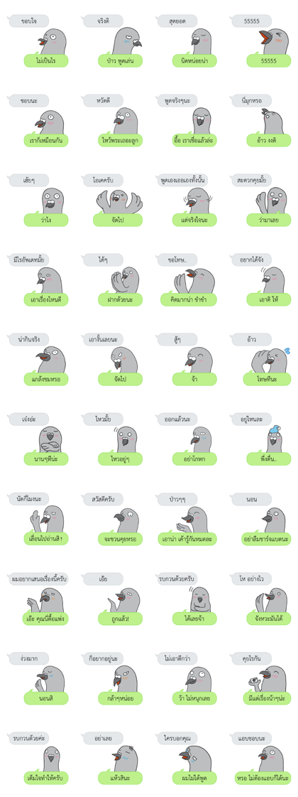 Let's Speak with Pigeon
