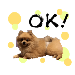 haruna_2020103121363