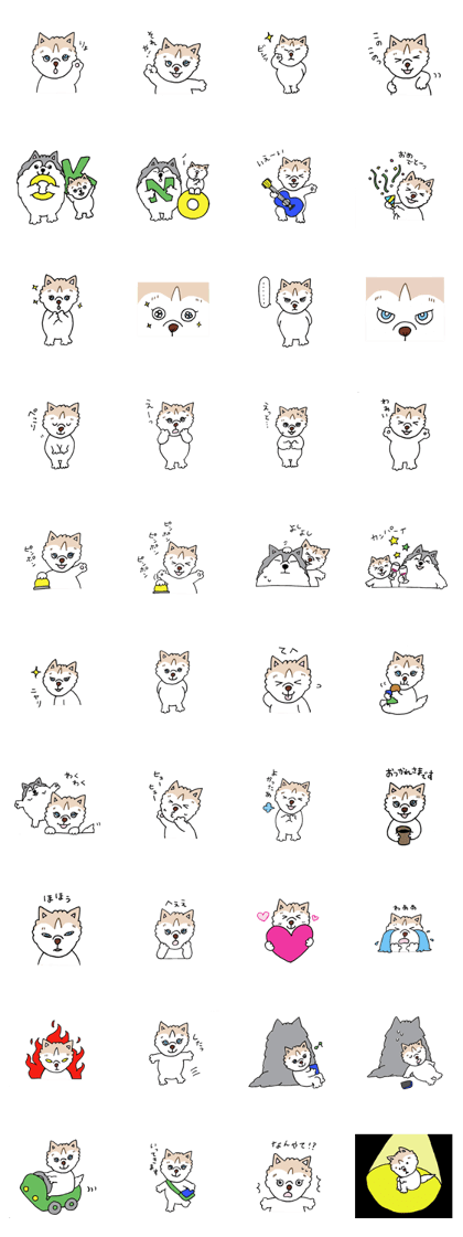Cute SiberianHuskey