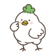 radish bird Turley